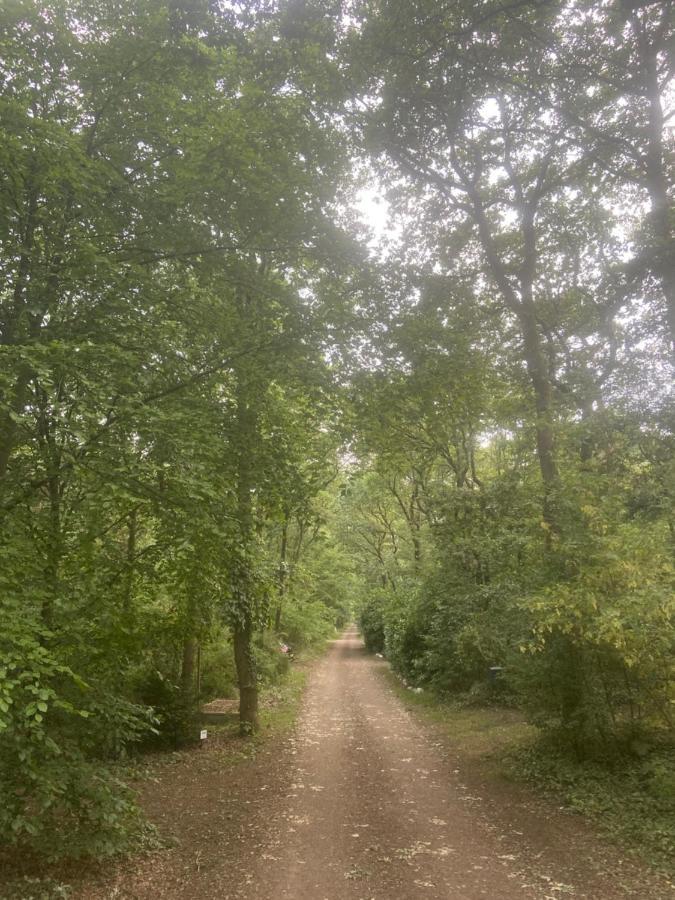 زاودلارن Buitenlust In Het Bos المظهر الخارجي الصورة